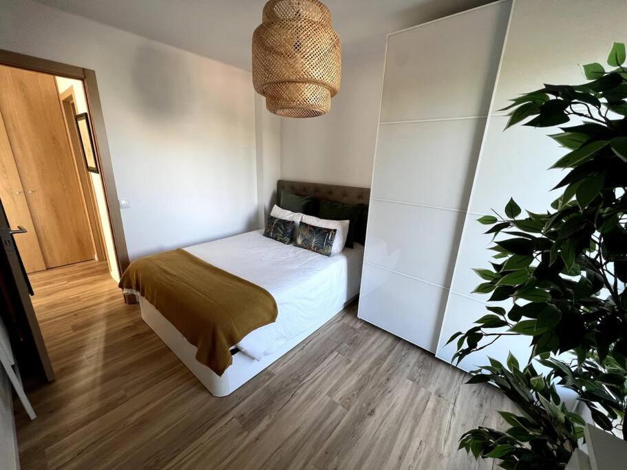 Penthouse Terraco De Coimbra公寓 外观 照片